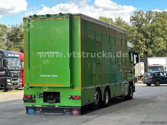 Cattle truck MAN TGX 26.440 6x2 3.Stock Cuppers, Lenk-/Lift