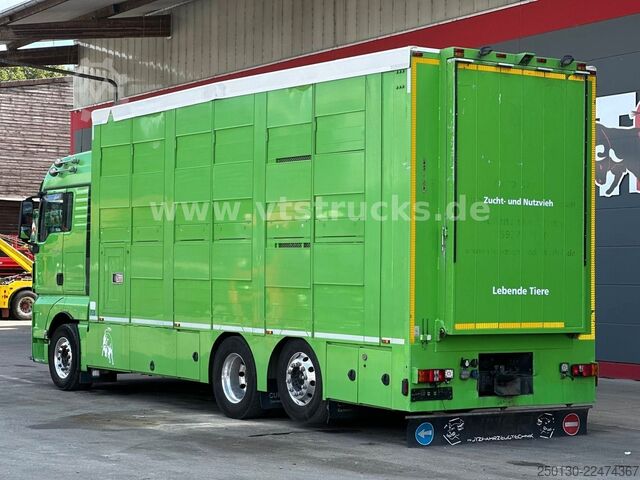 Cattle truck MAN TGX 26.440 6x2 3.Stock Cuppers, Lenk-/Lift