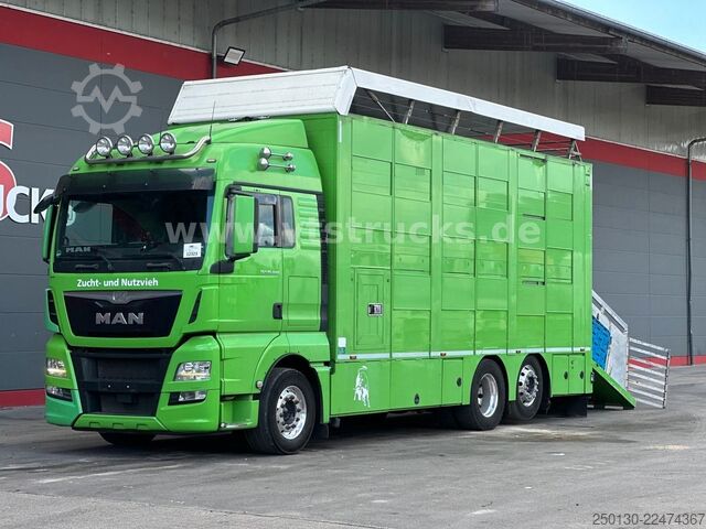 Cattle truck MAN TGX 26.440 6x2 3.Stock Cuppers, Lenk-/Lift