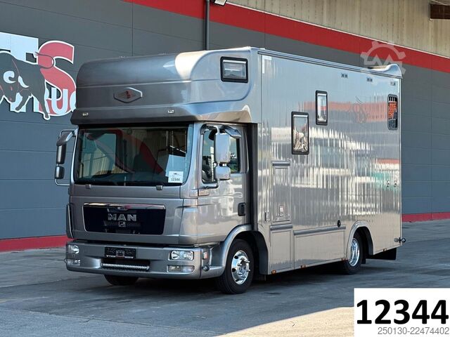 Livestock transporter MAN TGL 8.180 4x2 BL EEV ANEMONE für 3  Sportpferde