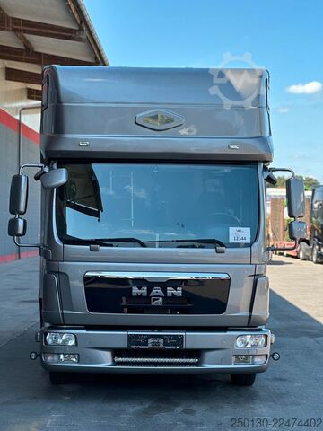 Livestock transporter MAN TGL 8.180 4x2 BL EEV ANEMONE für 3  Sportpferde