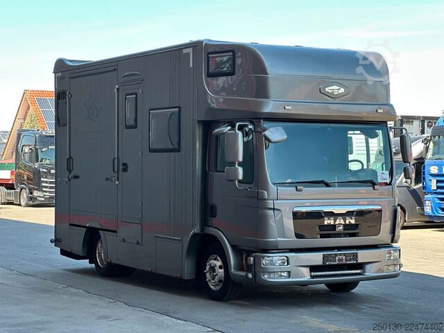 Livestock transporter MAN TGL 8.180 4x2 BL EEV ANEMONE für 3  Sportpferde