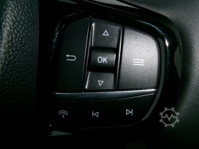 Kleinbus FORD Transit Custom 320L1 Trail 100kW AWD AHK 2xS.Tür