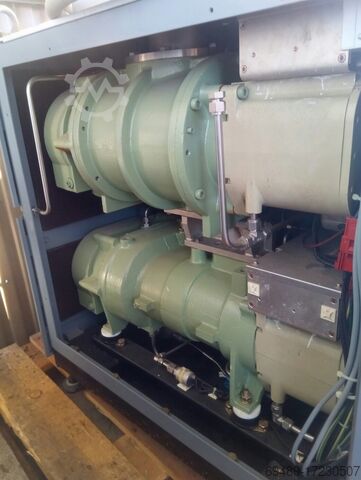 Vacuum pump EBARA ESA-300W, AAS300WN