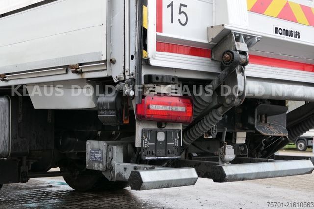 LKW mit Pritsche & Plane MAN TGM 18.320 Pritsche Plane Kamera LBW Euro 6