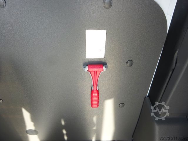 Kleinbus FORD Transit 350L3H2 Trend WiPa Rampe KMP GRA PDC