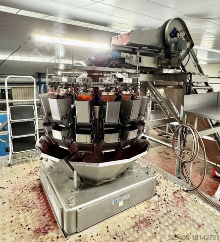 Verpackungsmaschine Ishida CCW-M-214W-S/30-WP