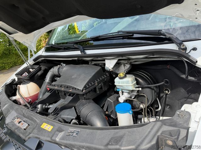 Minibus MERCEDES-BENZ Sprinter 313 Cdi Maxi Flex-i-Trans 9 Sitze+Lift