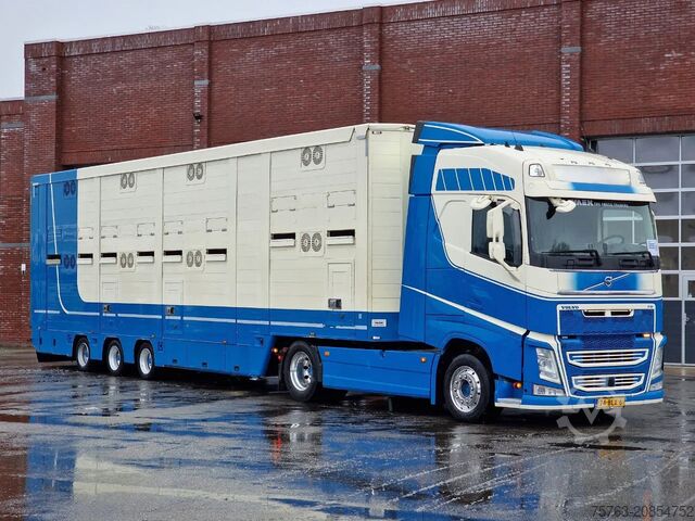 Standard-SZM Volvo FH 500 4x2 + 2 deck livestock - Ventilation - M...