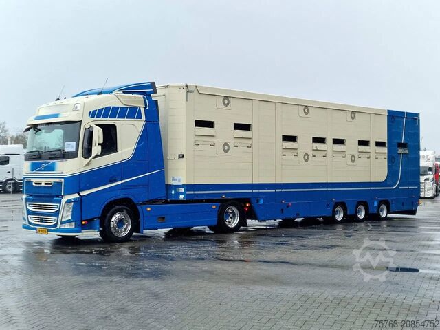 Standard-SZM Volvo FH 500 4x2 + 2 deck livestock - Ventilation - M...