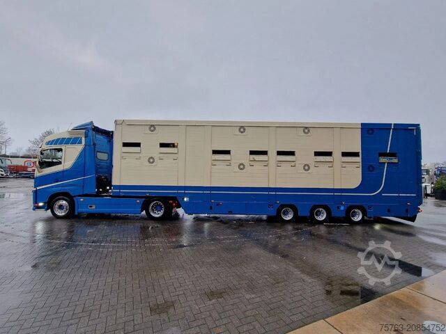 Standard-SZM Volvo FH 500 4x2 + 2 deck livestock - Ventilation - M...