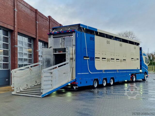 Standard-SZM Volvo FH 500 4x2 + 2 deck livestock - Ventilation - M...
