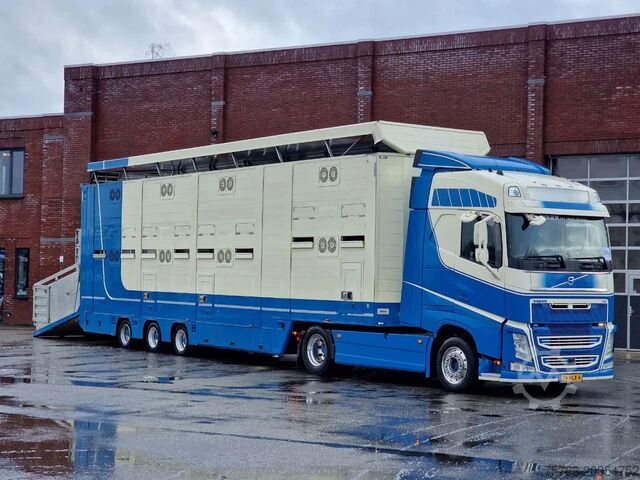 Standard-SZM Volvo FH 500 4x2 + 2 deck livestock - Ventilation - M...