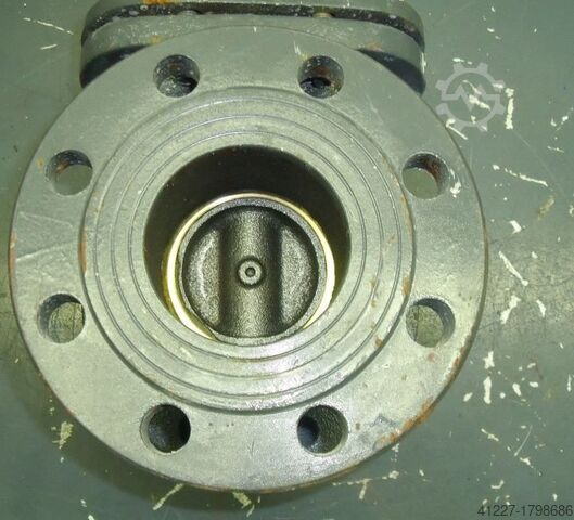 Gate valve with flange connection HS DN80 PN10