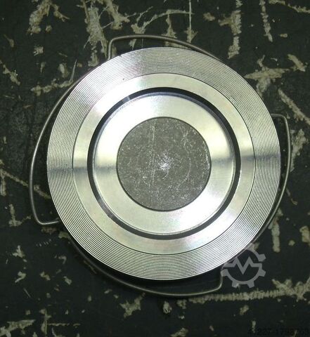 Non-return valve DN80 Gestra PN40