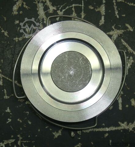 Non-return valve DN80 Gestra PN40