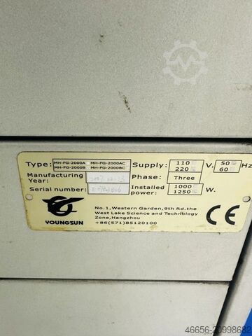 Palettenwickler halbautomatisch de Wit WP 2 ( 3589 )