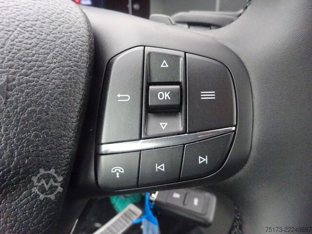 Van FORD Transit 350 L3H2 Trend KMP Rampe 2Klima Stndhz