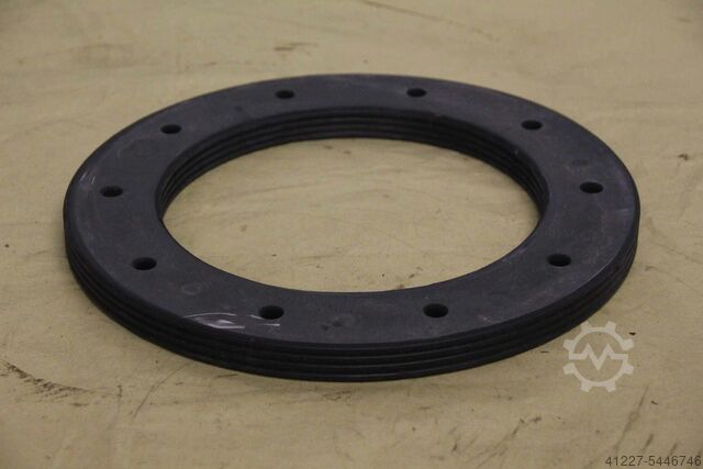 Sealing plate unbekannt Ø 300/202 mm