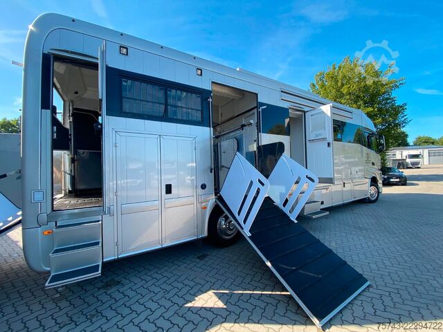 Viehtransporter LKW MERCEDES-BENZ 2663 STX 5 Pferde  POP-OUT+POP-UP  Top Zustand