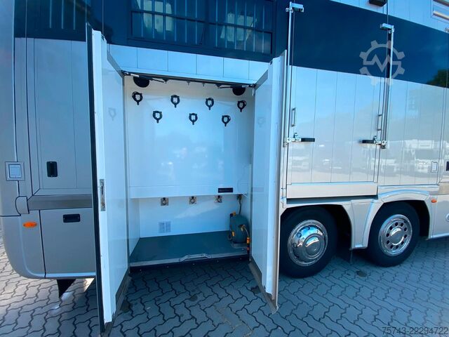 Viehtransporter LKW MERCEDES-BENZ 2663 STX 5 Pferde  POP-OUT+POP-UP  Top Zustand