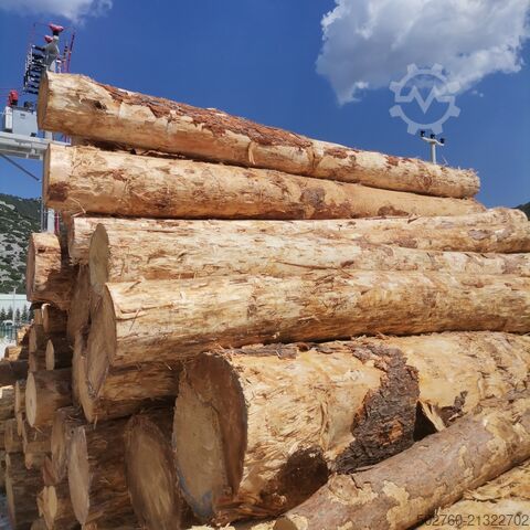 Log debarker Galen Rotary Log Debarker