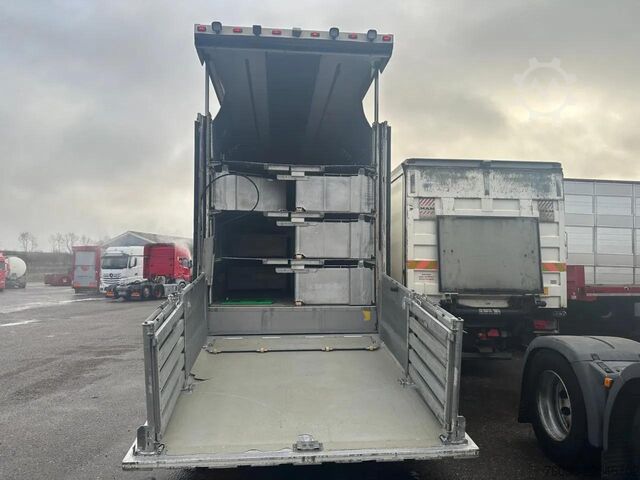Viehtransport Berdex NO BERDEX HMK 4 stock livestock trailer SPF
