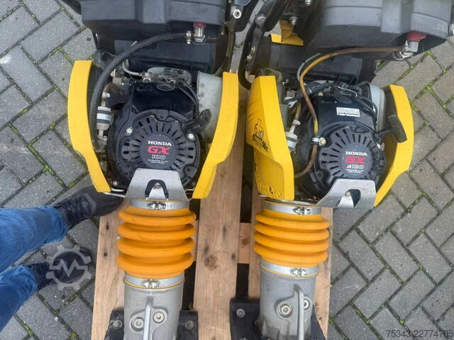Compactor Bomag 2x BT 65 | 130 and 62 Hours | 2014 and 2017 | I...