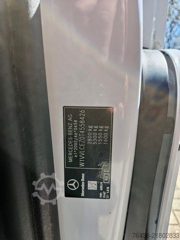 Panel van MERCEDES-BENZ Vito 116 CDI PRO|EXTRALANG|9G|2,5tAHK|WINTER PAK