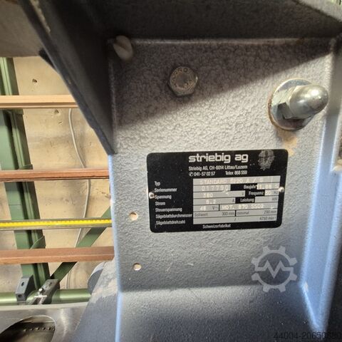 Plattensäge stehend Striebig Standard 5220