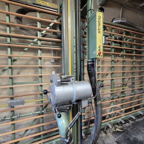 Plattensäge stehend Striebig Standard 5220