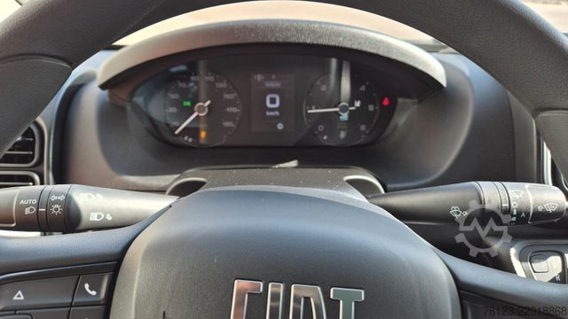 Minibus FIAT Fiat Ducato 9 Sitzer Systemboden Rolli Stock