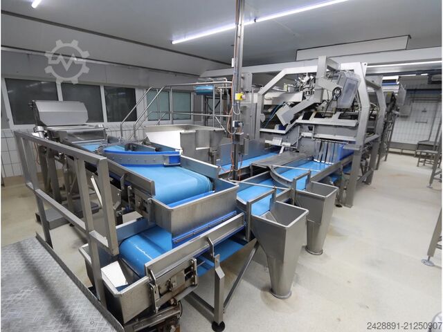 Kartoffelsortieranlage Odenberg, Tomra 