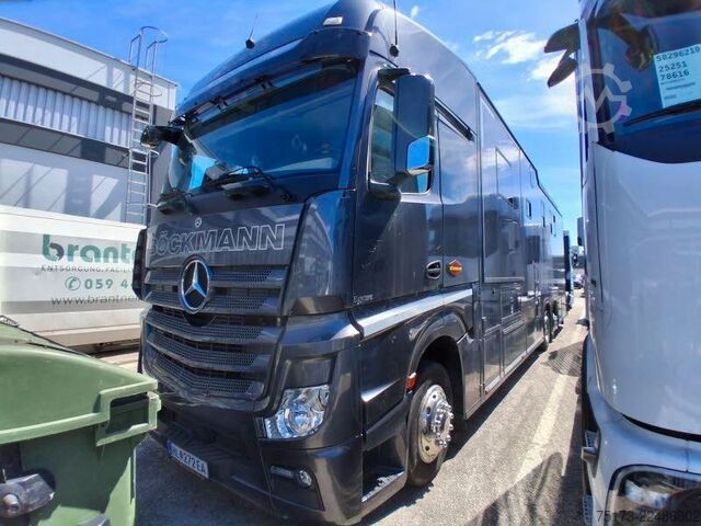 Cattle truck MERCEDES-BENZ Actros 25L Böckmann Horses Big Equipe L3.56.26