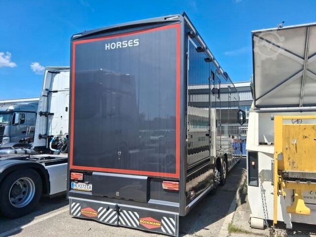 Cattle truck MERCEDES-BENZ Actros 25L Böckmann Horses Big Equipe L3.56.26