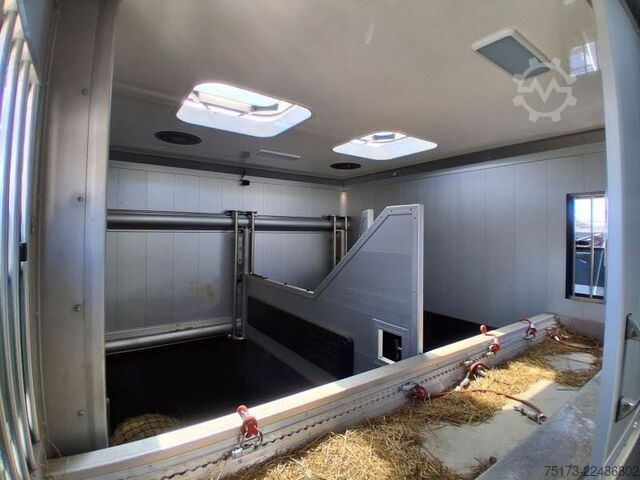 Cattle truck MERCEDES-BENZ Actros 25L Böckmann Horses Big Equipe L3.56.26