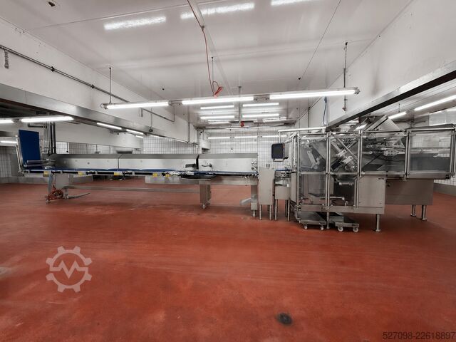 Meat processing machine Weber Maschinenbau GmbH Weber CCS 904