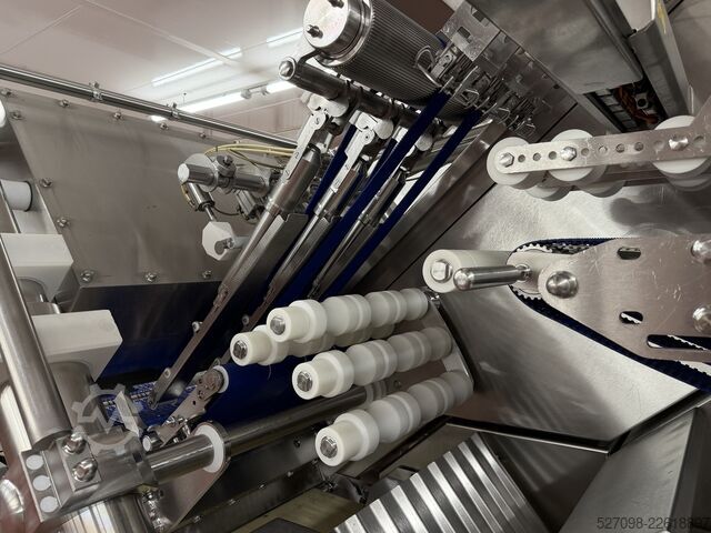 Meat processing machine Weber Maschinenbau GmbH Weber CCS 904