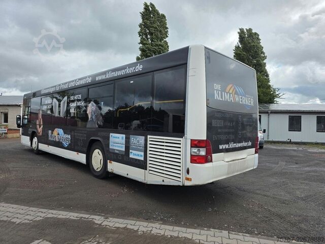 Intercity bus MAN Lions City LE  Überland Niederflurbus 41+40+1+1