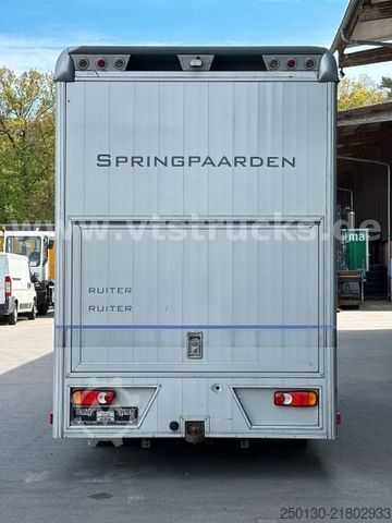 Livestock transporter RENAULT Master Maxi 160CDi BÖCKMANN 3 Pferde Wohnteil