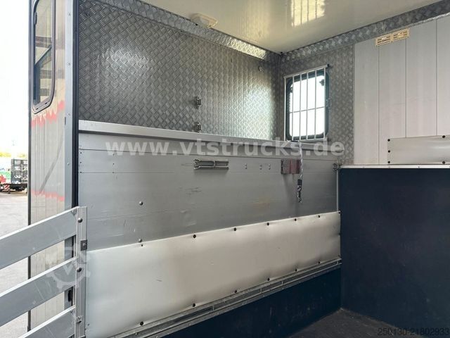 Livestock transporter RENAULT Master Maxi 160CDi BÖCKMANN 3 Pferde Wohnteil
