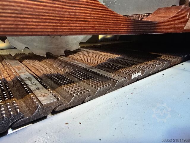 Vielblattsäge Raimann Variorip 310M