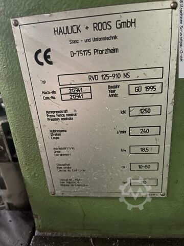 Double-sided high speed press HAULICK & ROOS RVD 125-910 NS