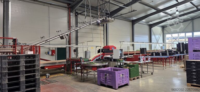 Sorting machine for cucumbers AWETA GS DV-D 14+1
