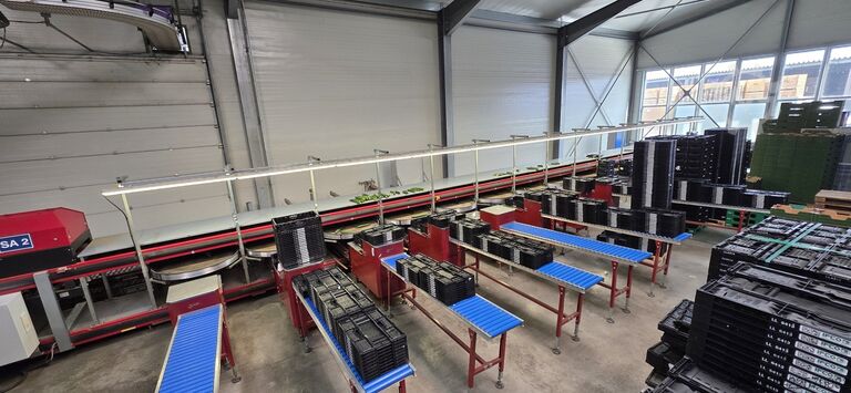 Sorting machine for cucumbers AWETA GS DV-D 14+1