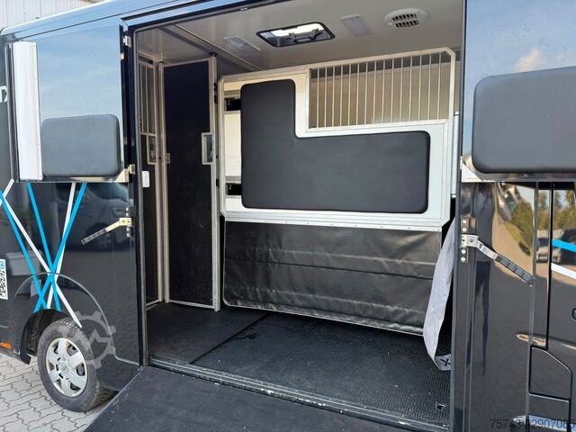 Viehtransporter RENAULT Master STX 3 Sitzer  Haras / Hengste