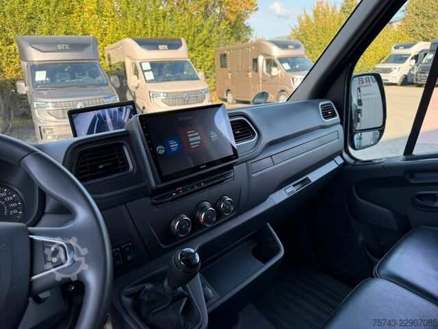 Viehtransporter RENAULT Master STX 3 Sitzer  Haras / Hengste