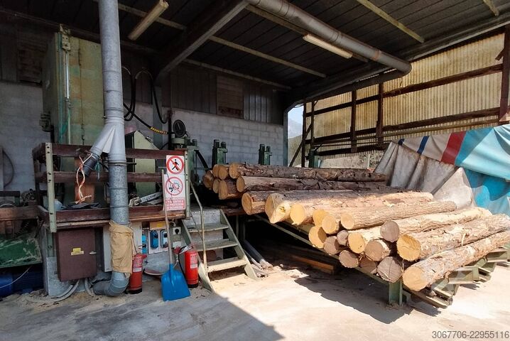 Primultini SE-CEA-IEA 1100 log bandsaw PRIMULTINI SE-CEA-IEA 1100 DESTRA