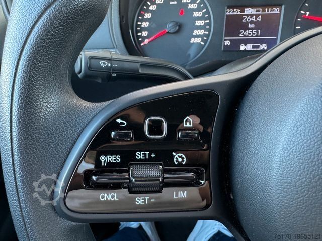 Panel van MERCEDES-BENZ Citan 110 CDI Klima Navi Tempomat