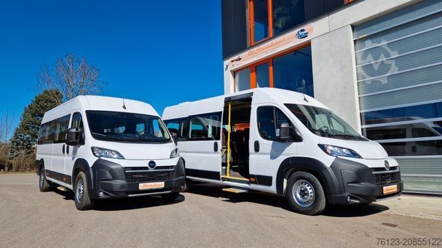 Kleinbus FIAT 1x Ducato 1x Opel Movano 18 SS in Stock